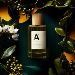 A1