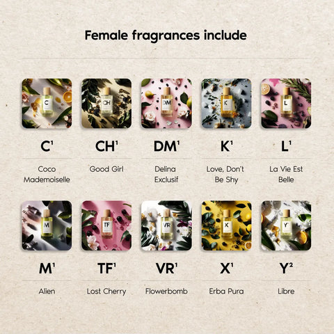 Abstract Discovery Set - For Her